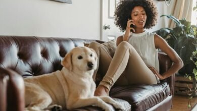 global toll free call benchmark