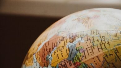 international call research study