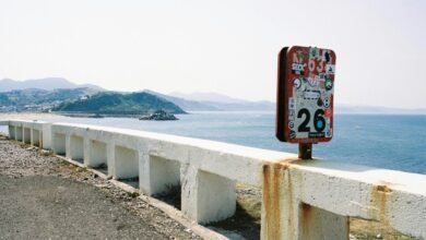short number adoption metrics