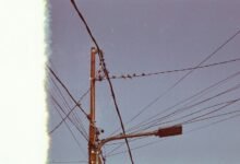 support line response ratios