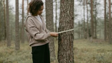 harsh beniwal s height information